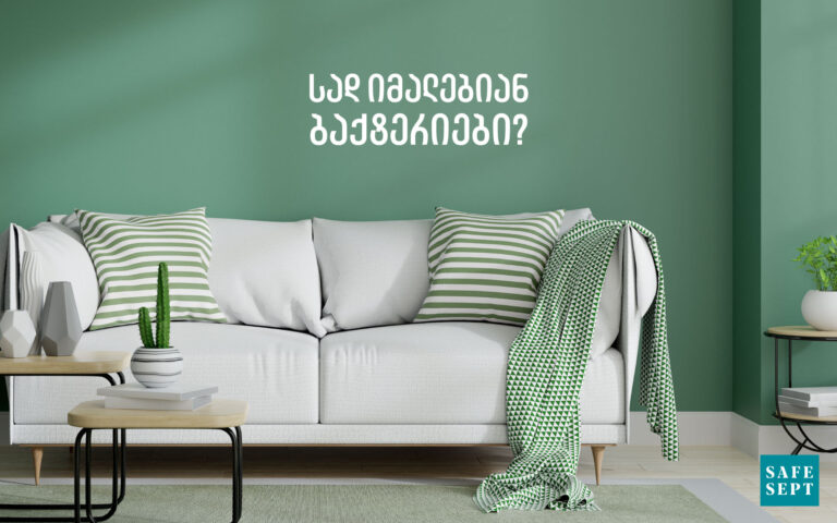 სად იმალებიან ბაქტერიები