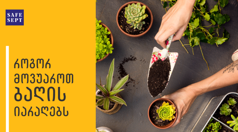 როგორ მოვუაროთ ბაღის იარაღებს